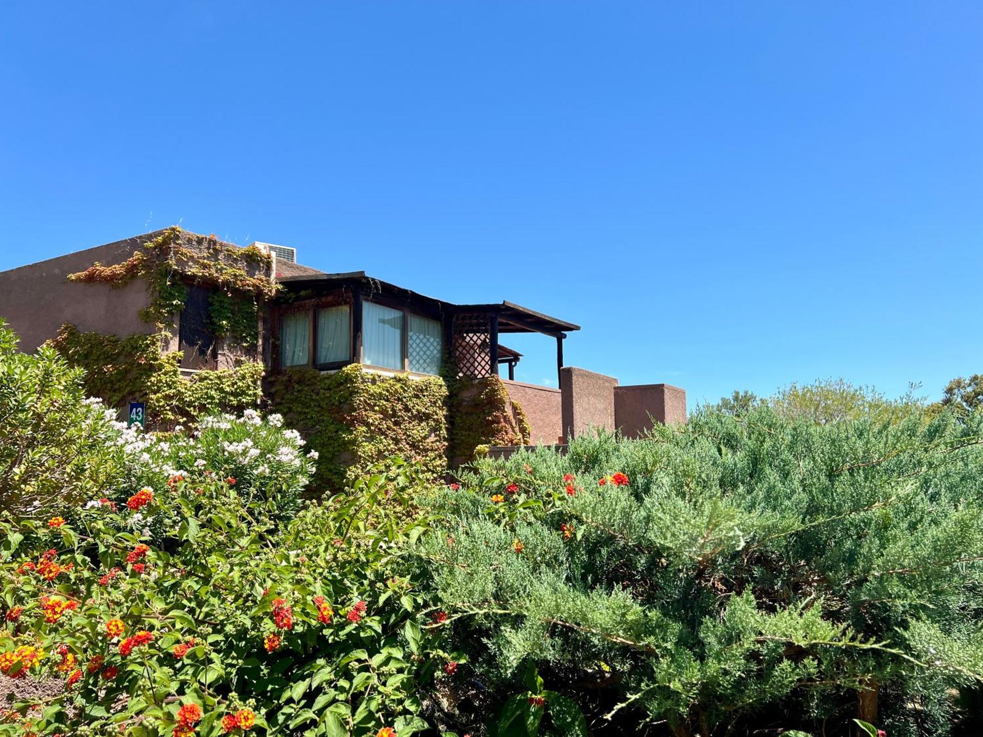 Valentina Home Costa Smeralda Vista Mar Cugnana Verde Eksteriør billede
